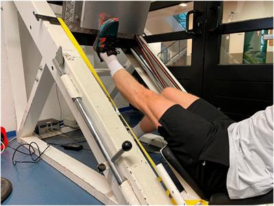 Influence of Long-Lasting Static Stretching on Maximal Strength, Muscle Thickness and Flexibility